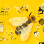 La vida de las abejas. Ilustración. Laura Ospina Montoya. Satúrnida